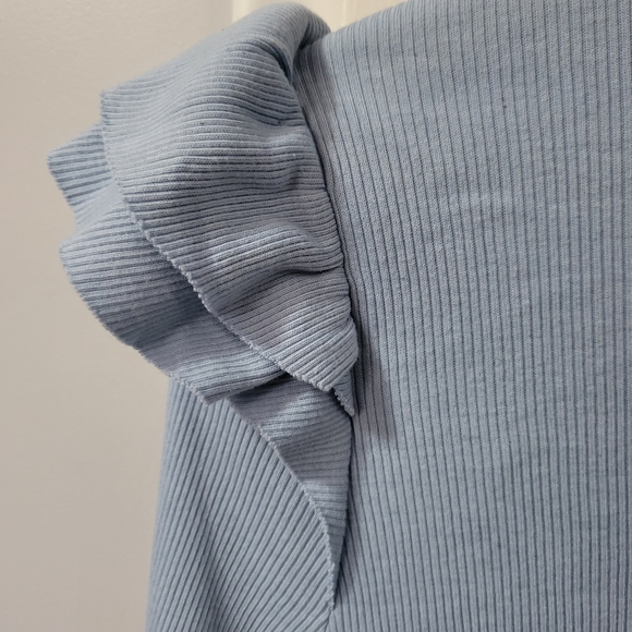 TLA Anthropologie | NWT Blue Ruffle Shoulder Long Sleeve Top - Picture 4 of 9